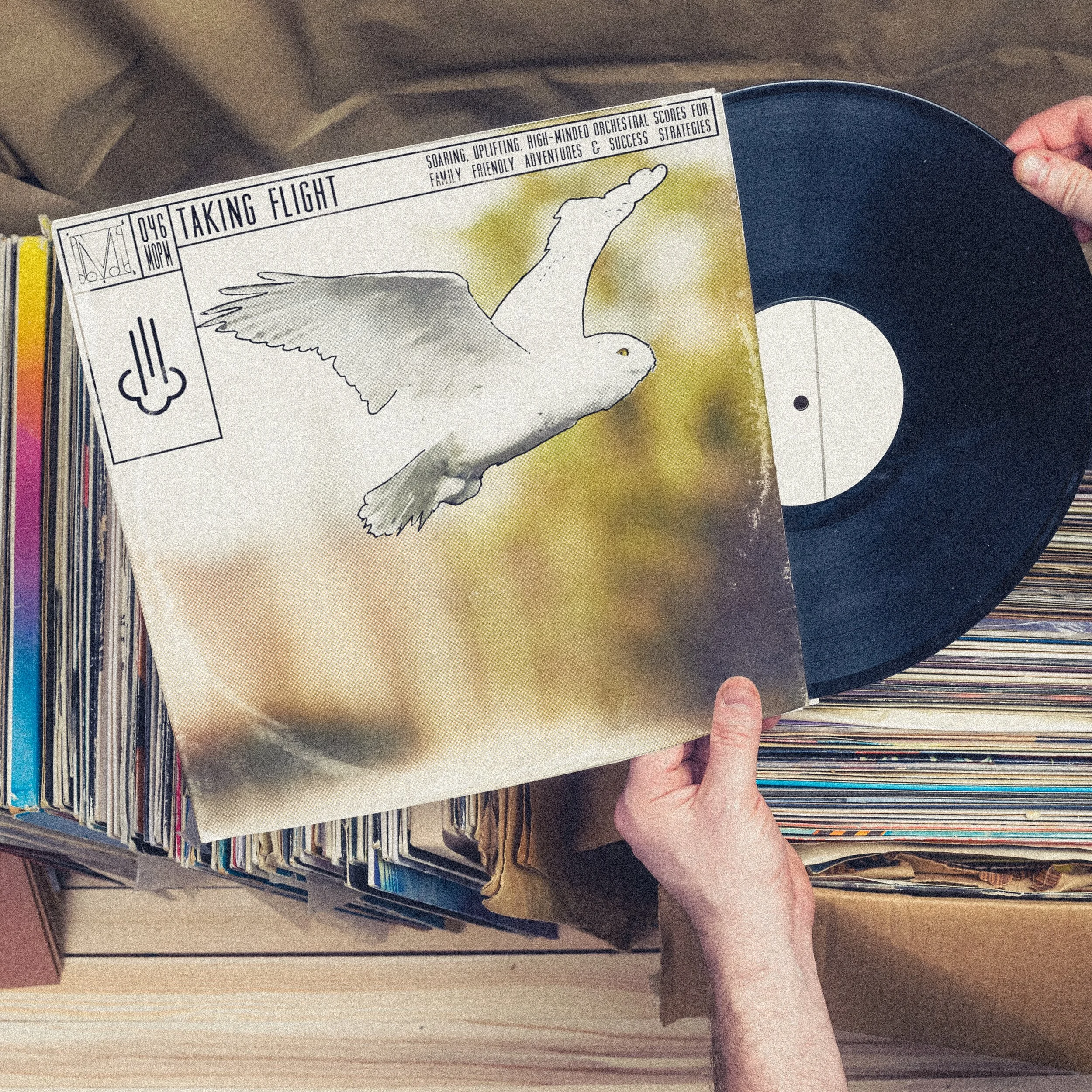 Virtual Crate Digging: Taking Flight