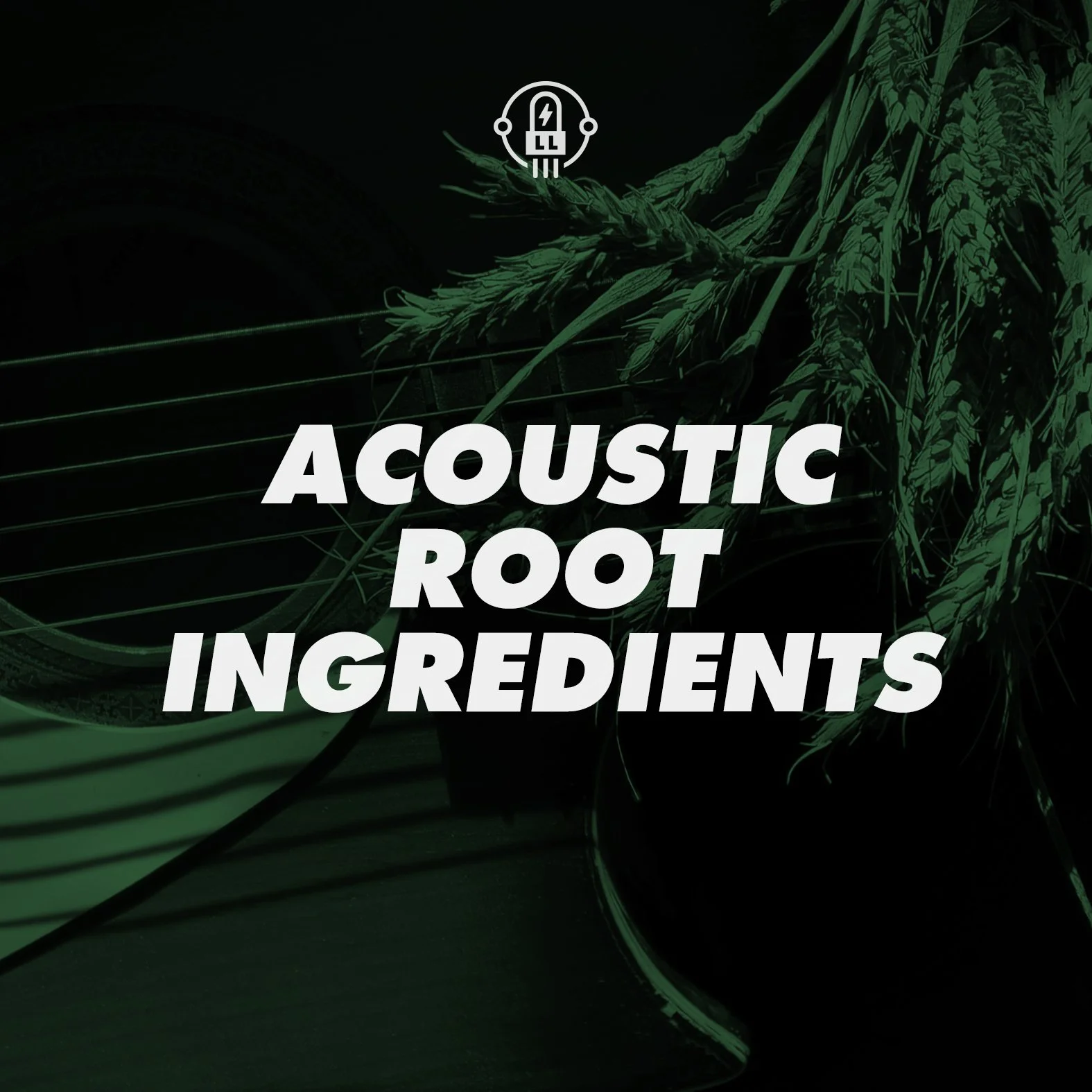 Acoustic Root Ingredients