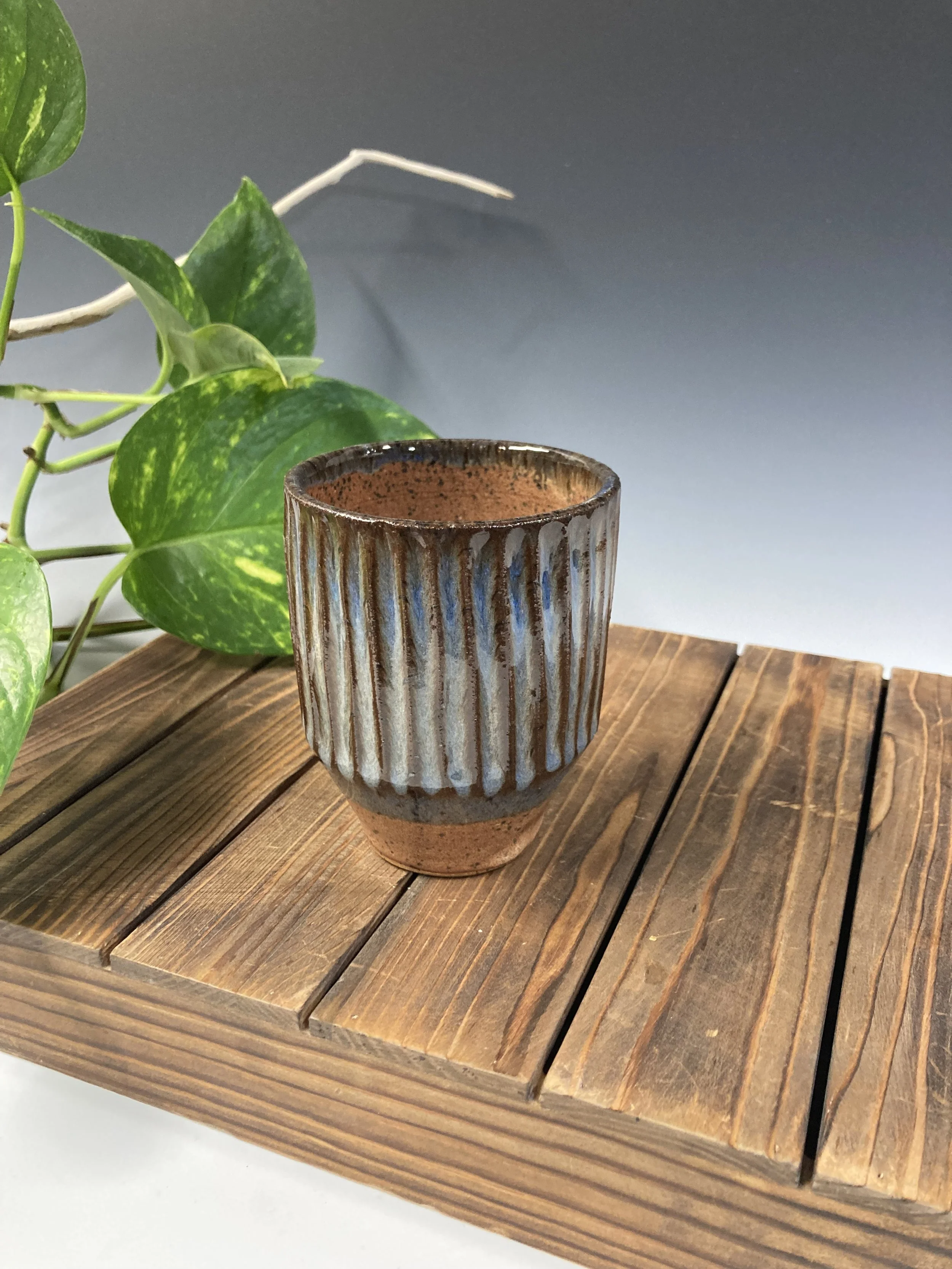 46. February Ache (Ridged Cup)