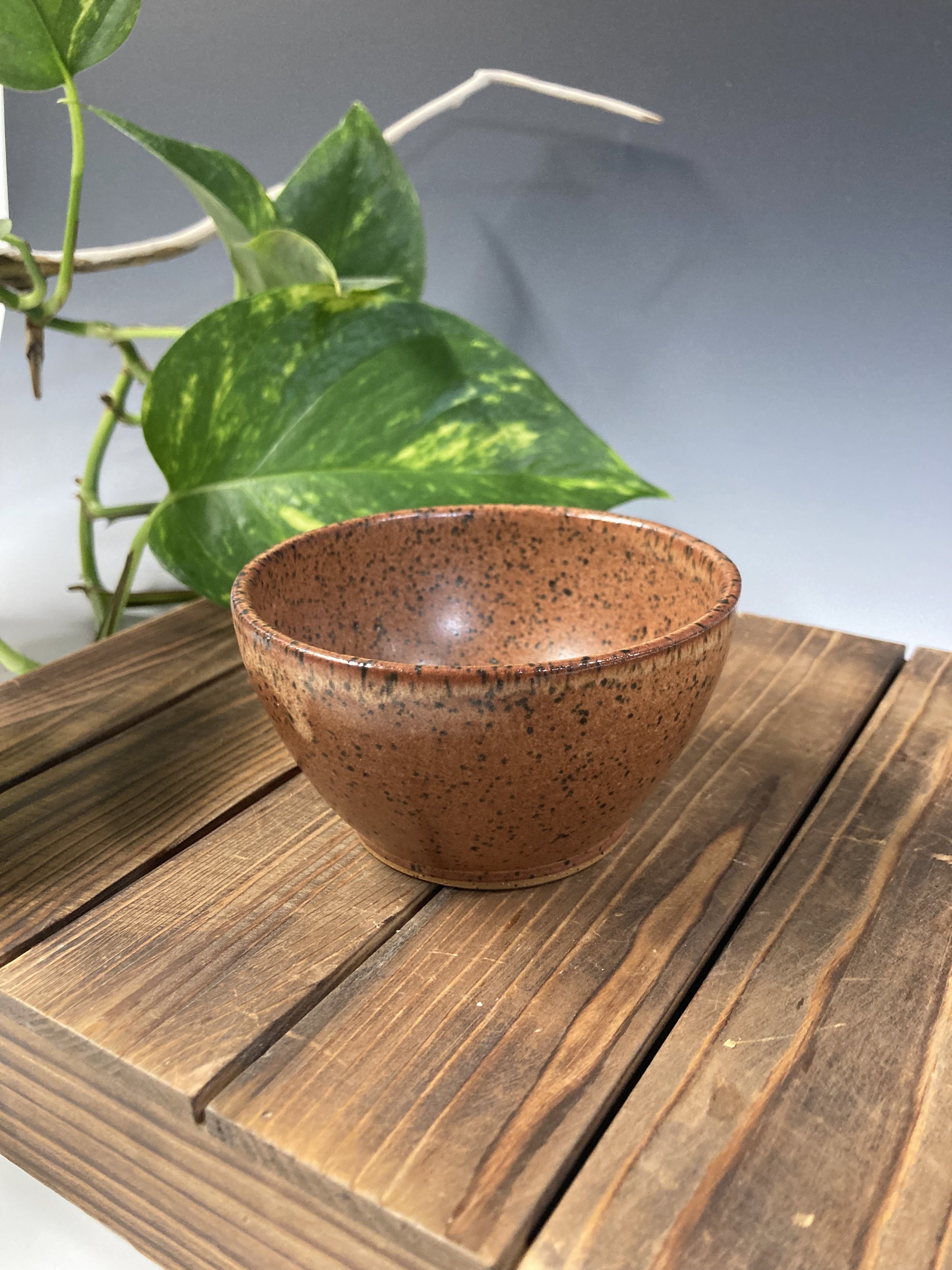 49. Groundnut Stew (Bowl)