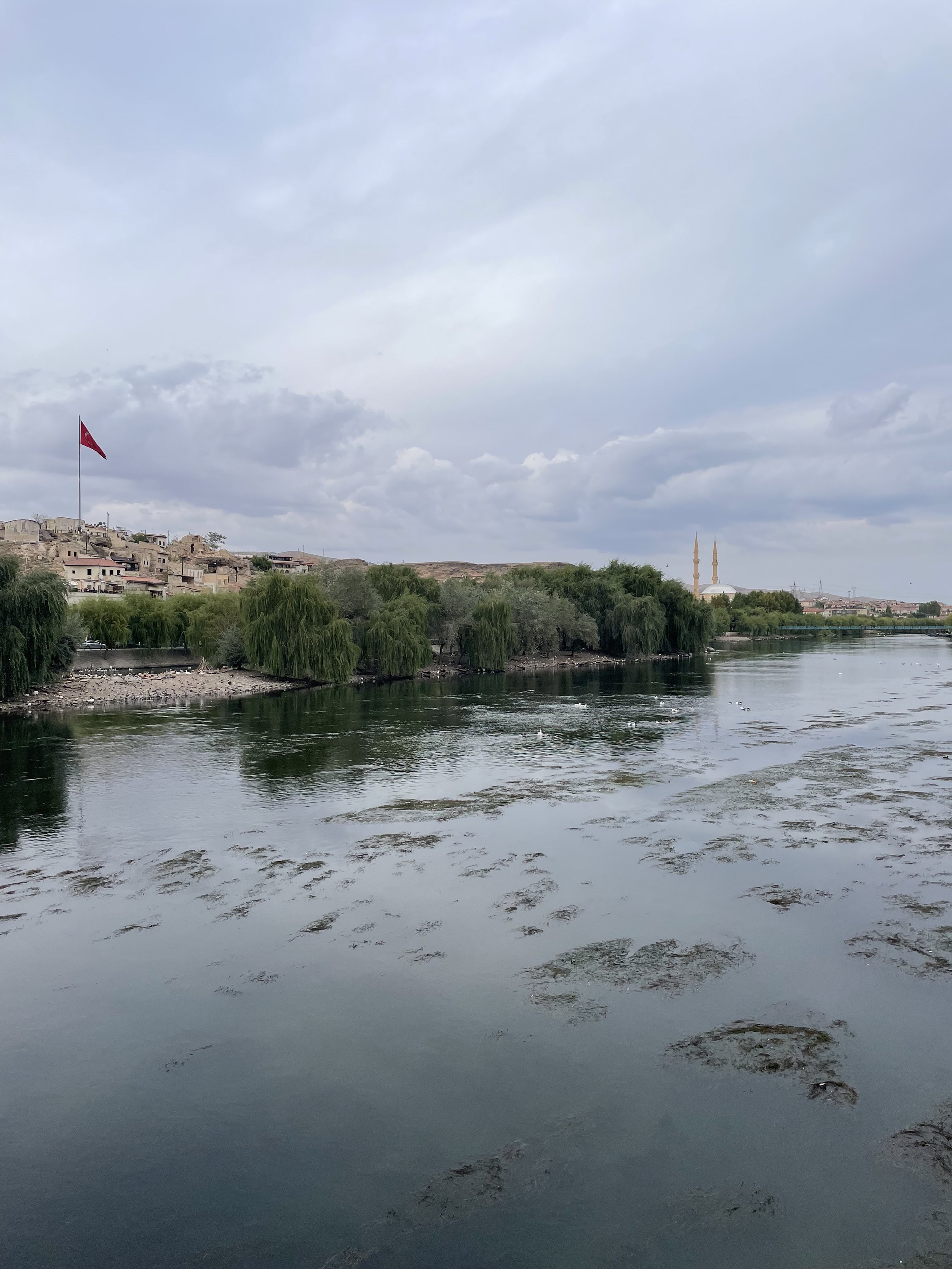 IMG_9806.jpeg