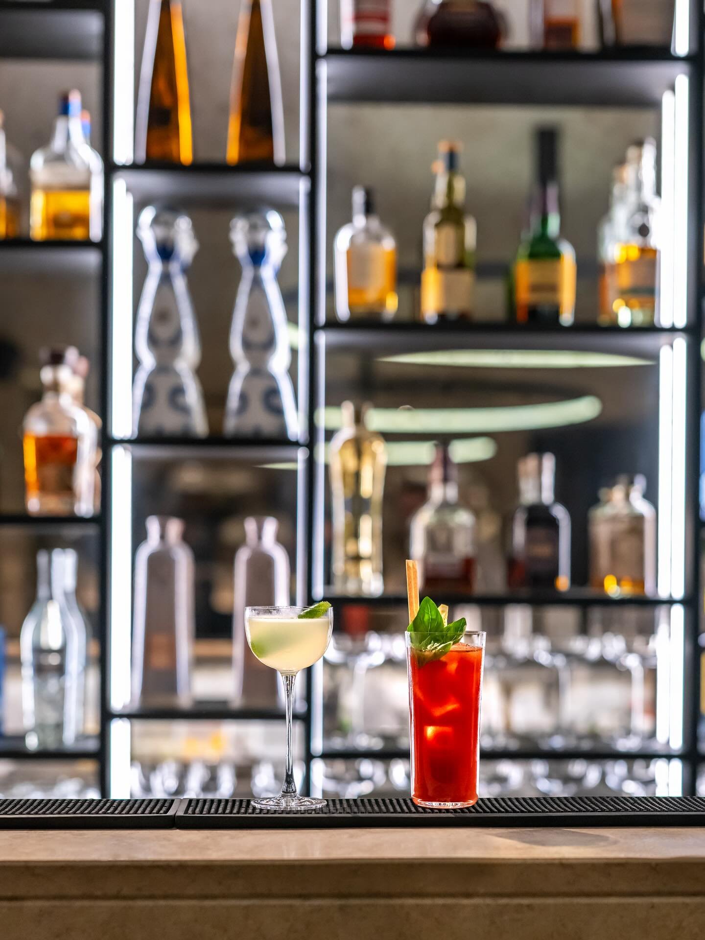 D A I Q U I R I &amp;  B L O O D Y  M A R Y