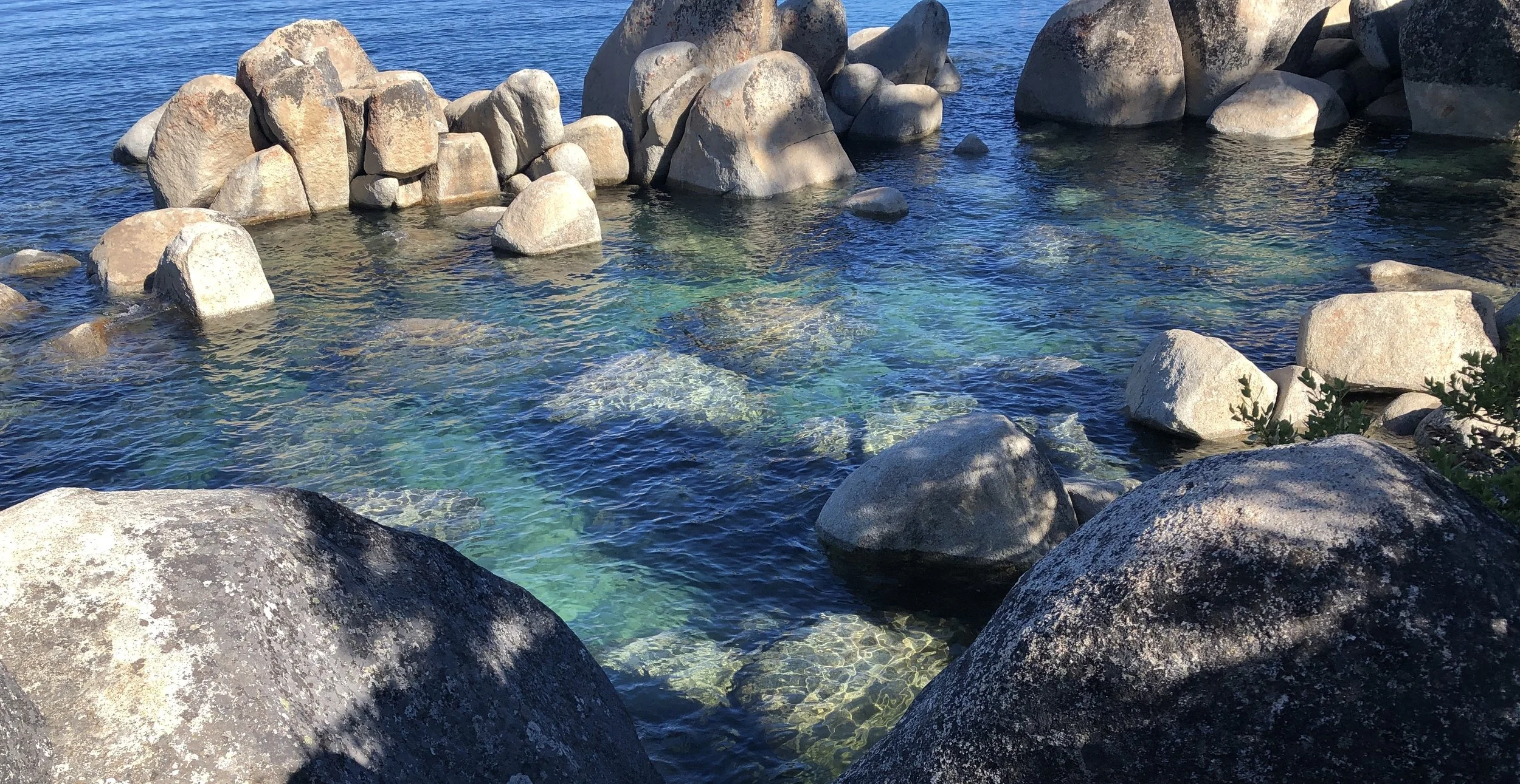 Case Studies Banner.JPG