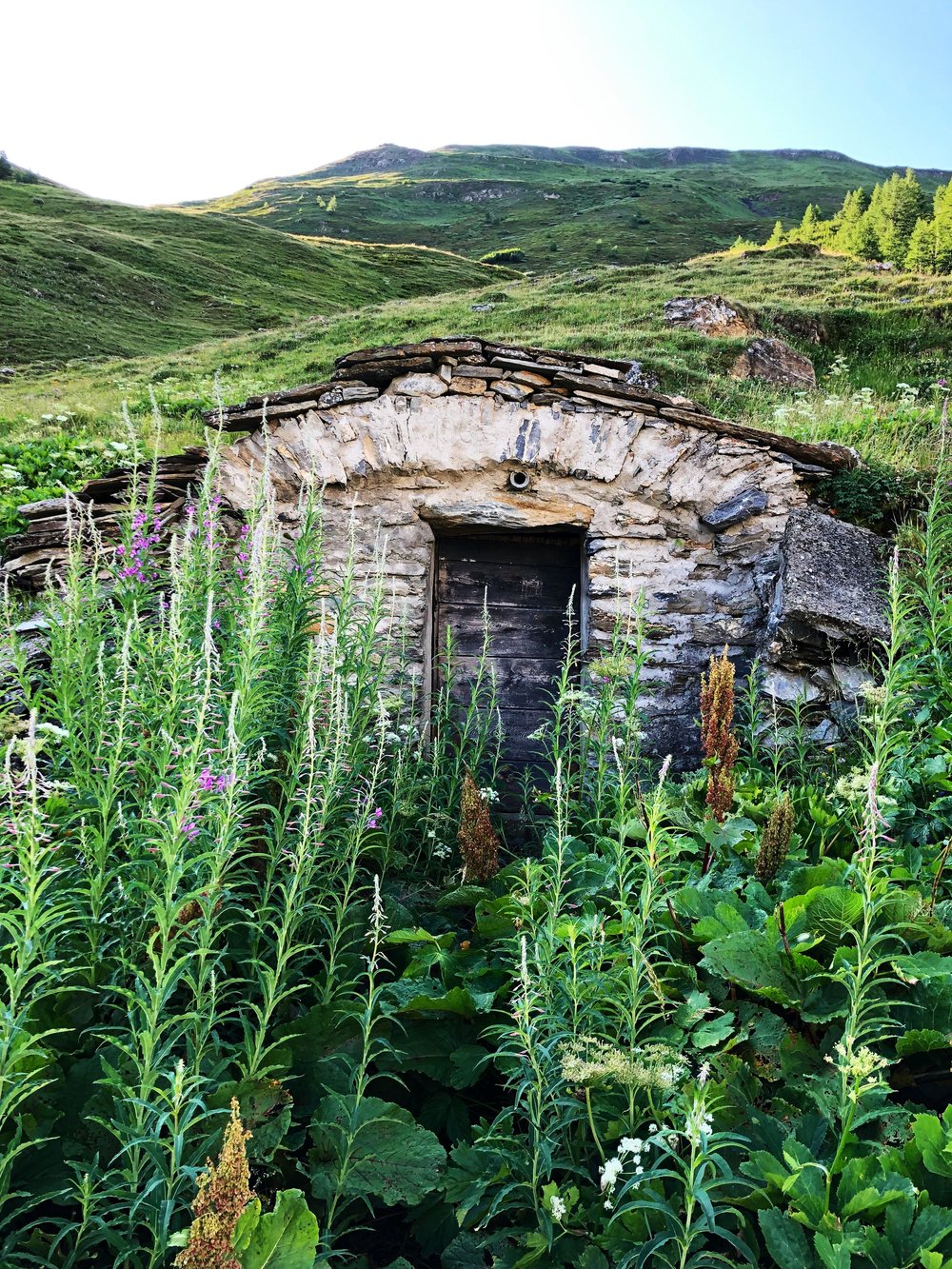  A hillside hut in Val Ferret, Italy.  