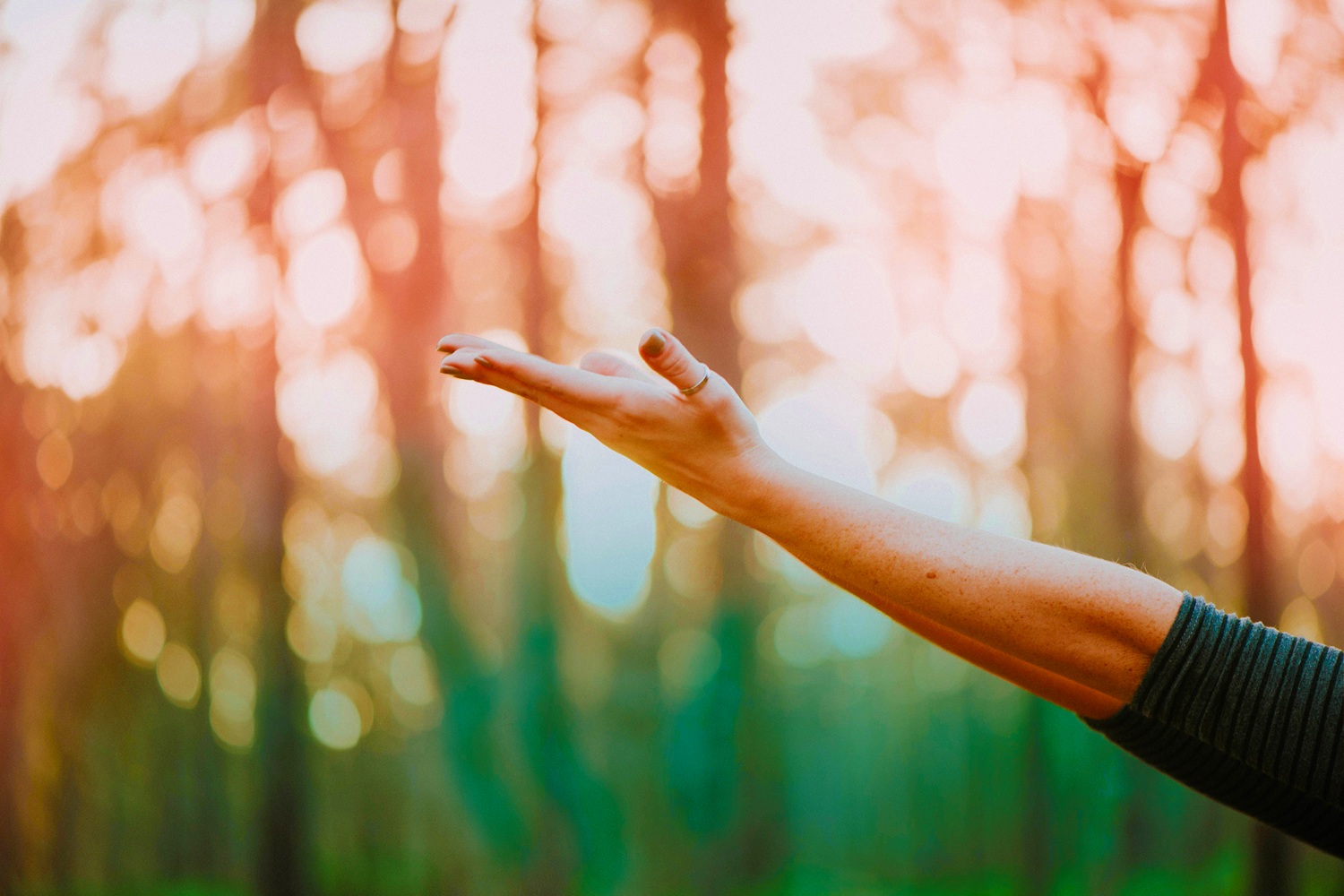 woman-connect-forest.jpg