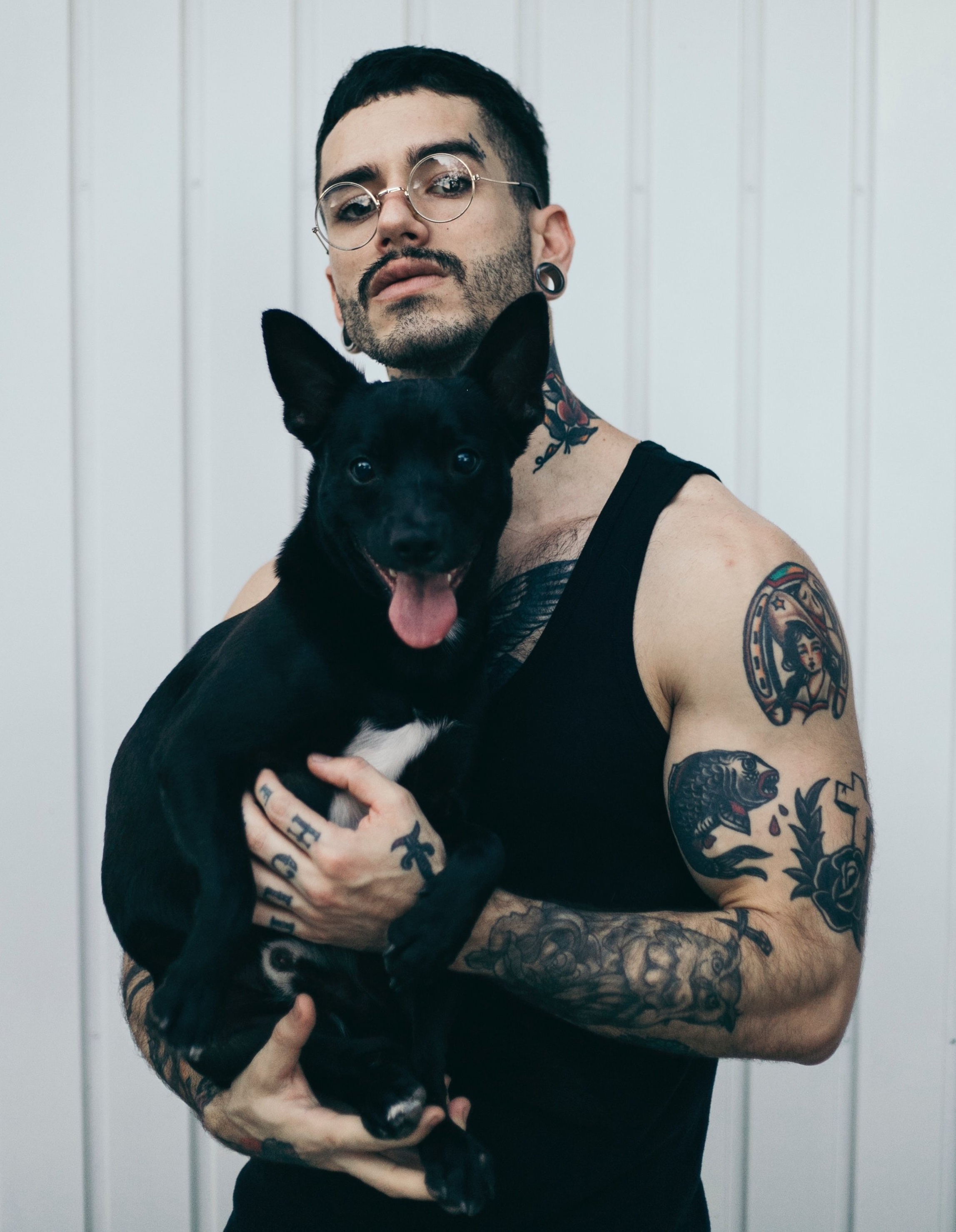 adorable-animal-breed-1757011.jpg