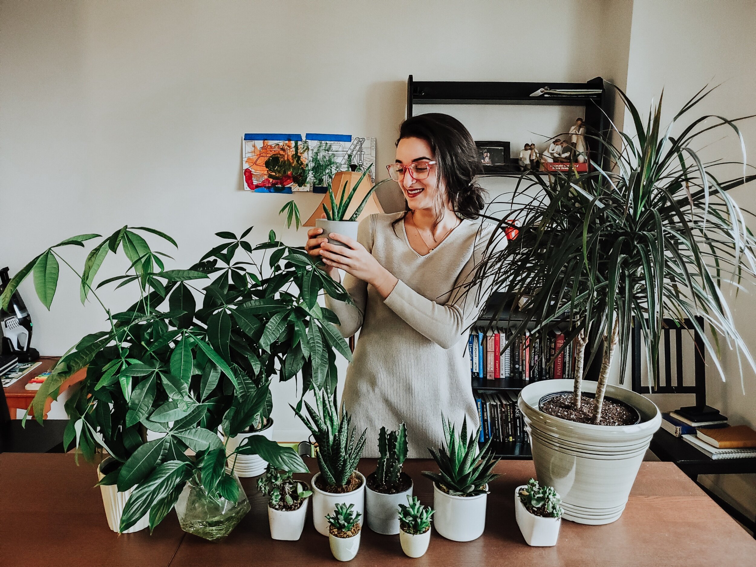 "Say ALOE to My Plant Collection!"