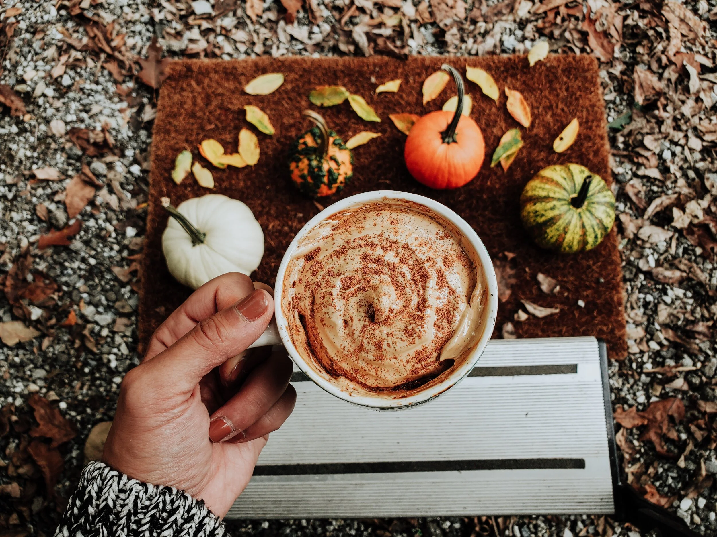 Pumpkin Spice Whipped Coffee Recipe!