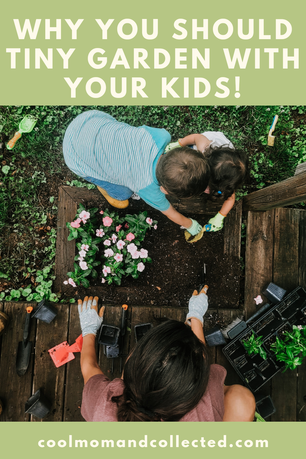 5 Reasons to Start a Tiny Garden with Your Kids!