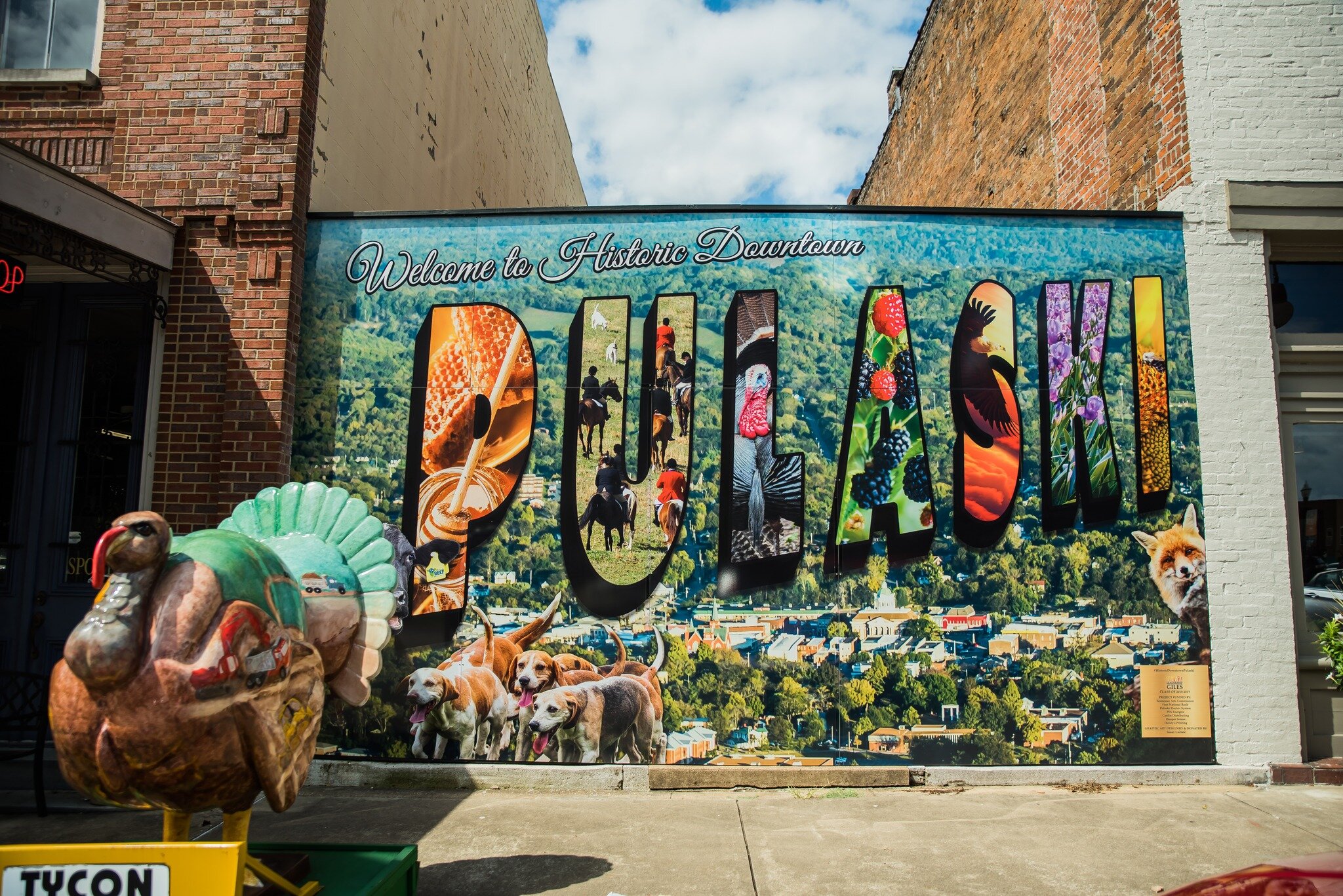 There's nothing quite as welcoming as our Pulaski mural! Located at 116 N 2nd St, next to Williams Law, this mural is shockingly detailed and showcases many of the visual elements that represent our area. It's a great introduction to our community fo