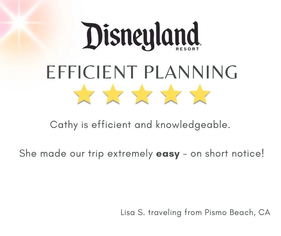 disneyland-california-client-review-efficient.jpg