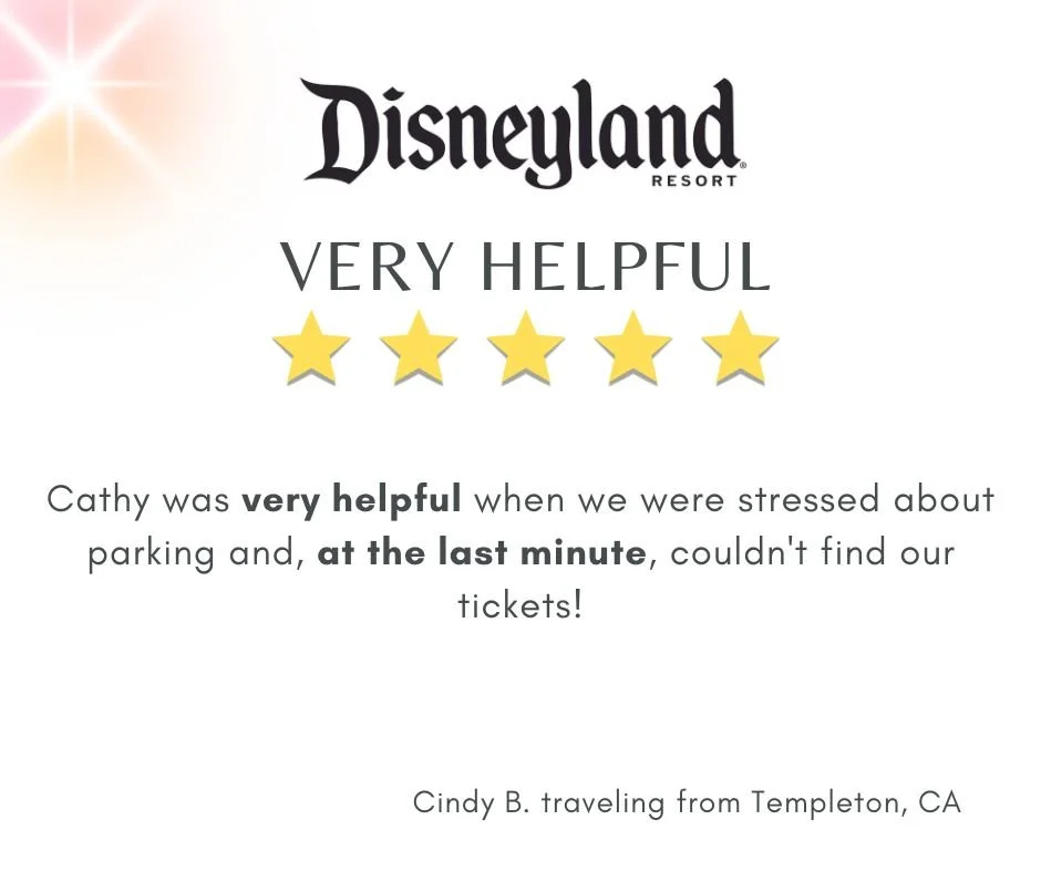 disneyland-california-client-revewi-very-helpful.jpg