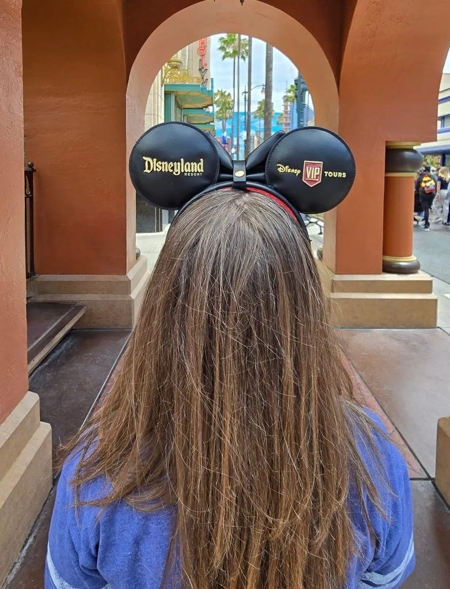 [Honest Review] Is Disneyland's VIP Tour Worth It? 