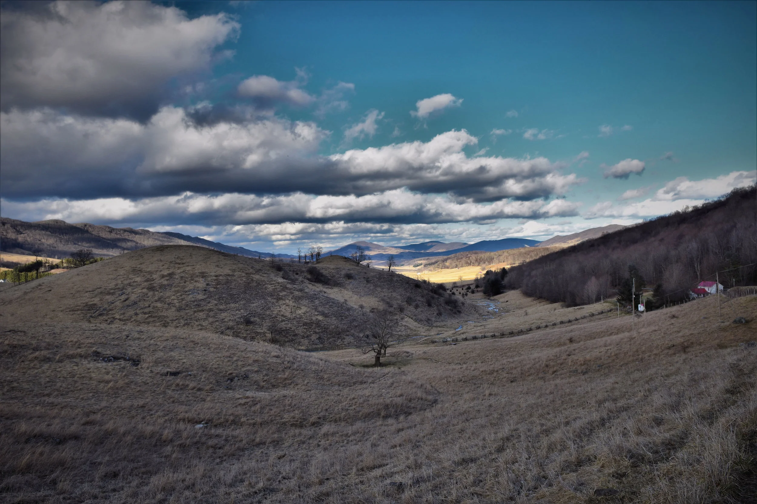 John Montgomery - DSC_9584.JPG