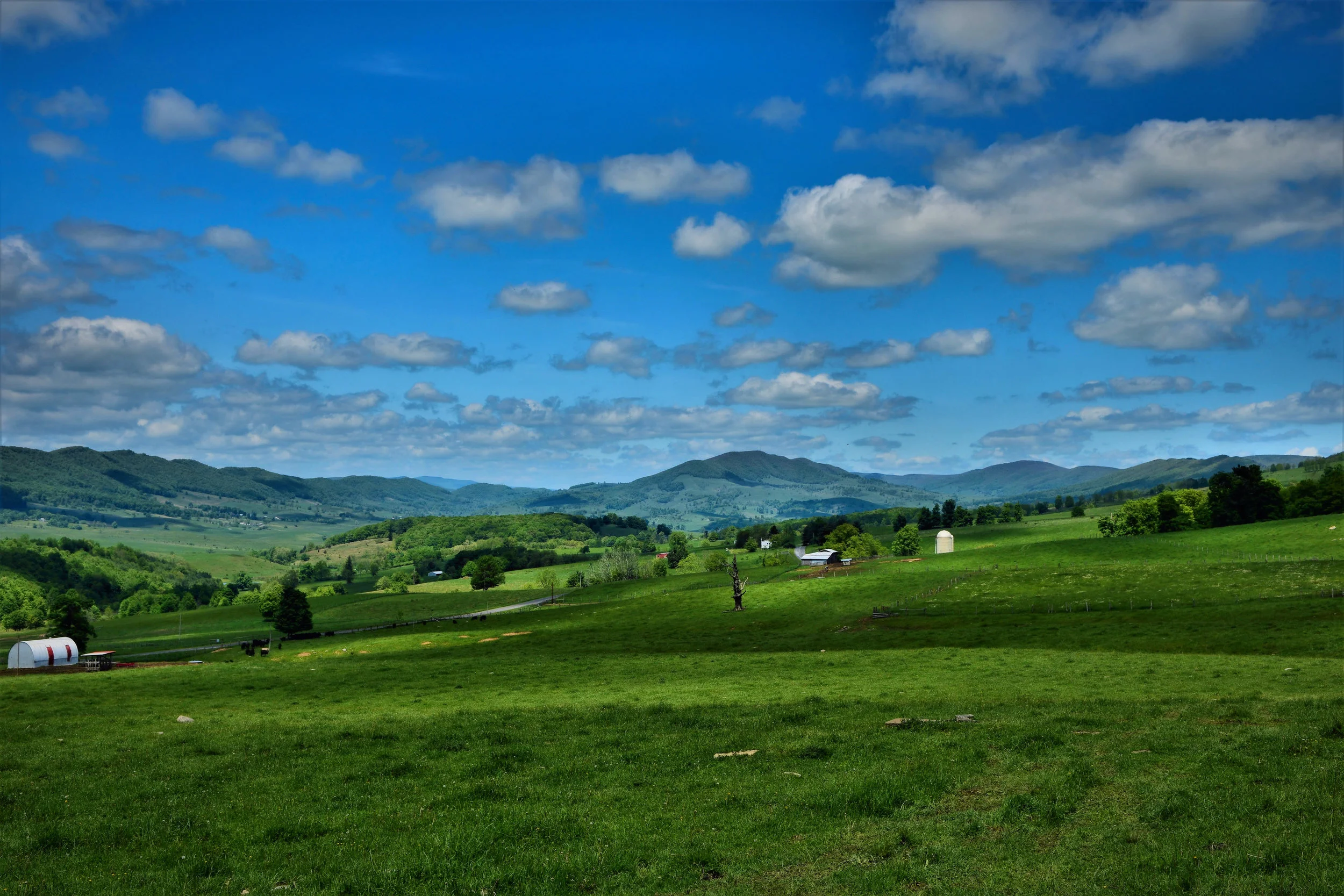 John Montgomery - SpringtimeFarm.JPG