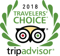 Traveler's Choice Award 2018