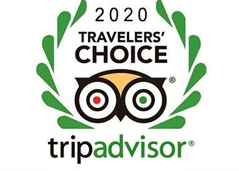 Traveler's Choice Award 2020