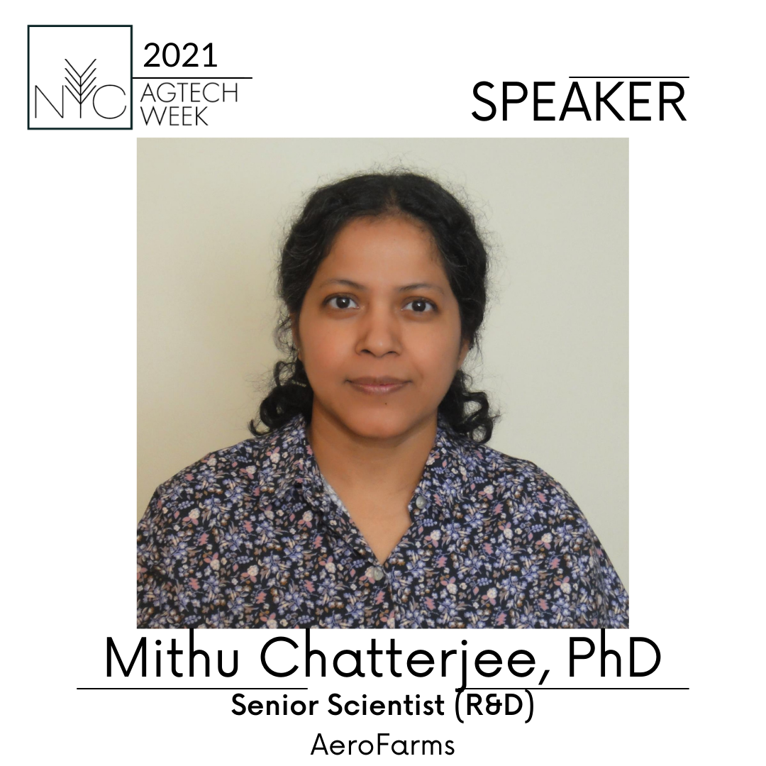 Mithu Chatterjee (1).png