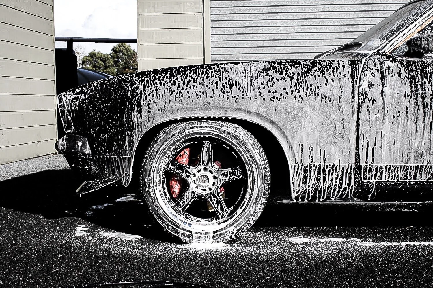 Get a Free Quote Today Car Detailing Hamilton Car grooming