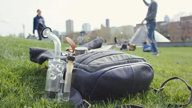 Purr Glass - Matthew