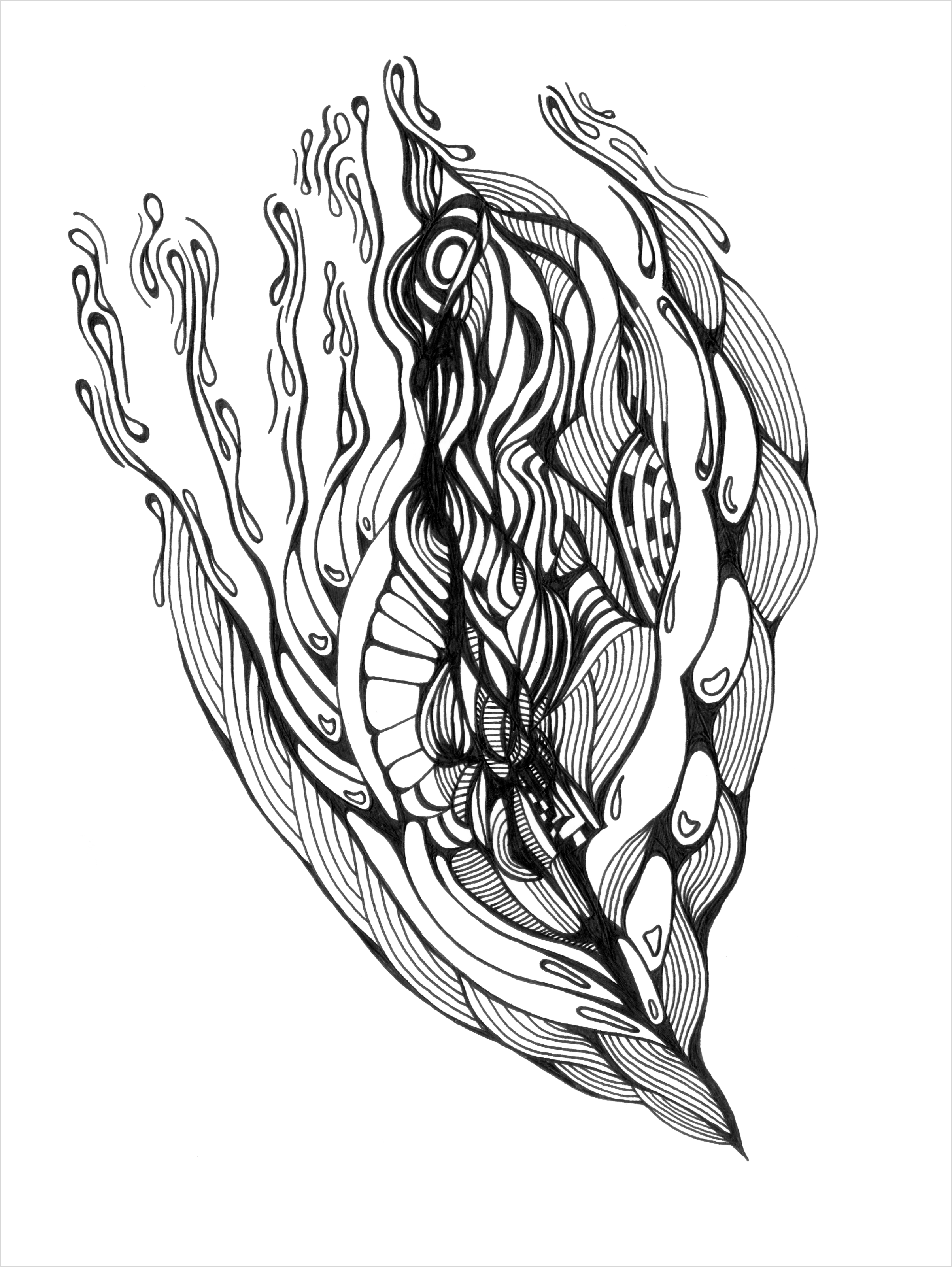 tempImage4BkmMy.gif (Copy)