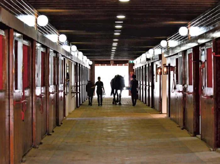 STABLES The stables are amazing and it is easy to see how it could be transformed into the 1930s in USA for the movie Phar Lap. There are 22 boxes, 80 lights and a lot of gleaming varnished wood. The stables and other areas of the property are protected by CCTV. The entry to the indoor arena is via the center of the stable breezeway right next to the office.