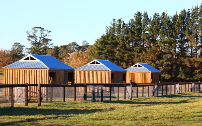 OVERNIGHT & RESPITE CARE By the way, we also offer overnight holiday and respite care for those passing through or for owners who want to ensure their horse is taken care of while they are away on holidays. So, if it’s a night a week or a month, Sutton Farm Equestrian Centre is happy to accommodate your horse for a short stay too. Overnight Stable Accommodation $70 per night (Includes bedding, water and post clean out) Overnight Day Yards $35 per night Overnight Large Yards with Shelter and automatic water system $65 per night For longer respite or injury recovery stays please call to discuss your requirements.