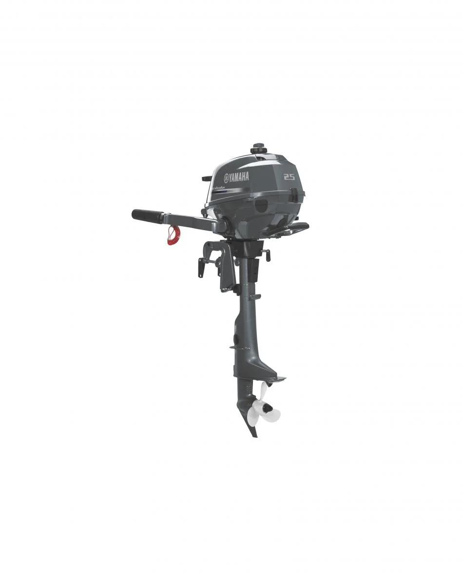 F2.5A.jpg