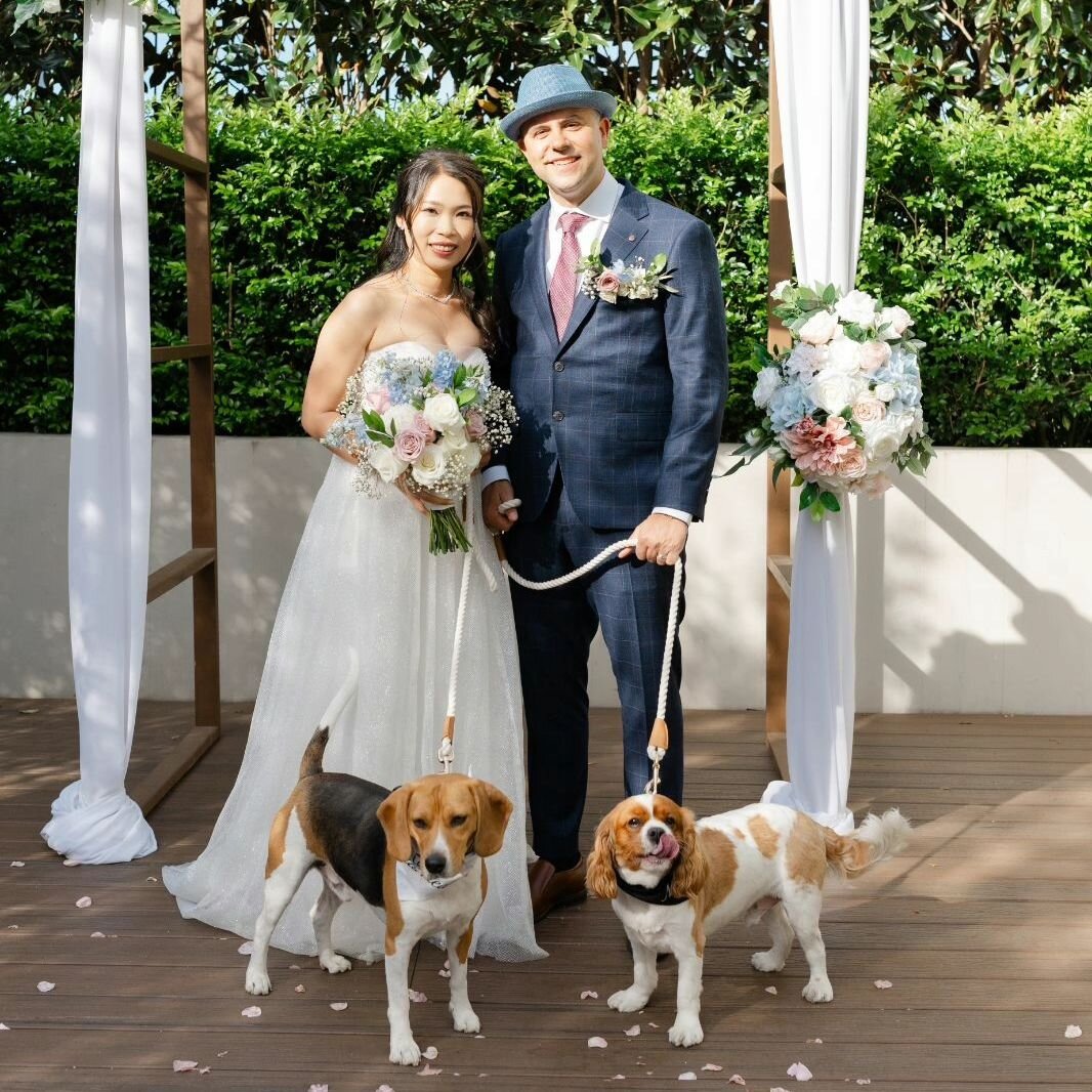 Happy 1 month anniversary to Selina and David 💒 

What a magical day it was ✨️ 

If you are thinking of having your furry best friends at your amazing day, then head over to our website and fill out a form 

🖥https://www.sitstayplay.com.au/pet-wedd