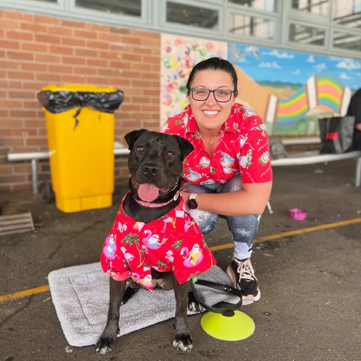 ✨ CLIENT OF THE MONTH &mdash; OCTOBER ✨

A huge congratulations to @hazeltherescuestaffy for being our Client of the Month!

Emilia and Shaun first reached out to Sit Stay Play shortly after adopting Hazel from Campbelltown Pound. She arrived as a sw