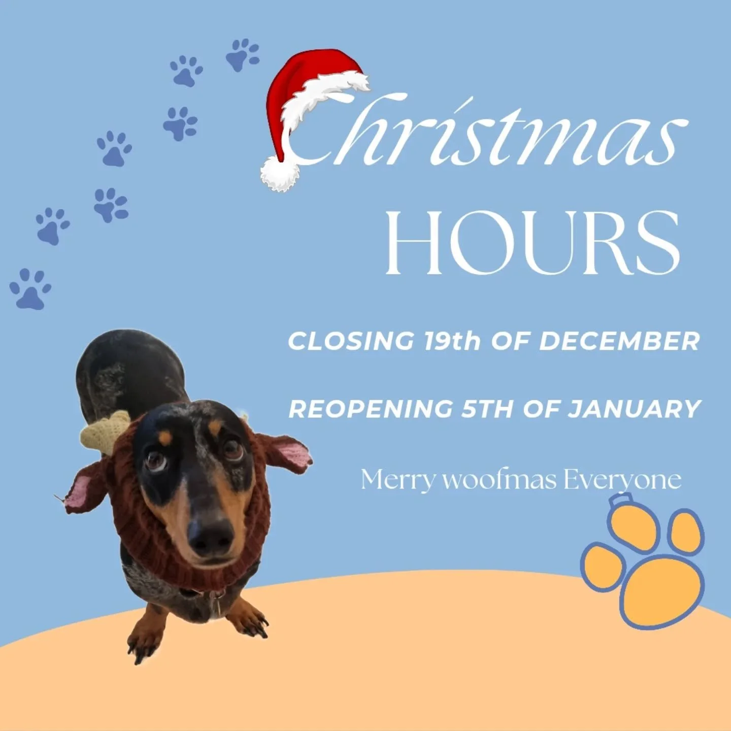 🎄 Holiday Closure Notice 🎄

As we wrap up another incredible year, Tayla and the entire Sit Stay Play team want to extend a heartfelt thank you to every family who has trusted us with their pups, supported our small business, and been part of our c