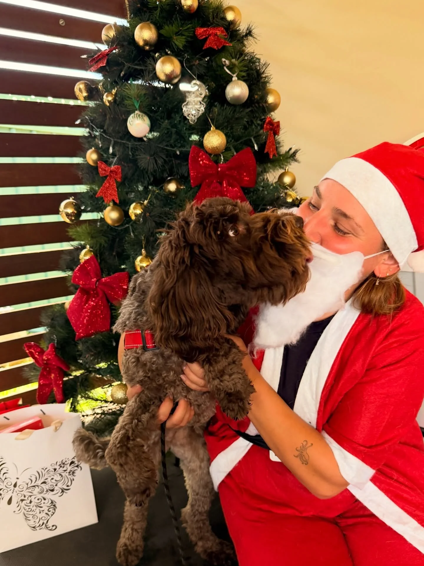 Santa from Temu stopped by to see all our day care pups!! 🎅🏻

With the holiday szn right around the corner, I encourage all my clients to keep these few points in mind when hosting Christmas or New Years celebrations 🎉

Christmas can actually be s