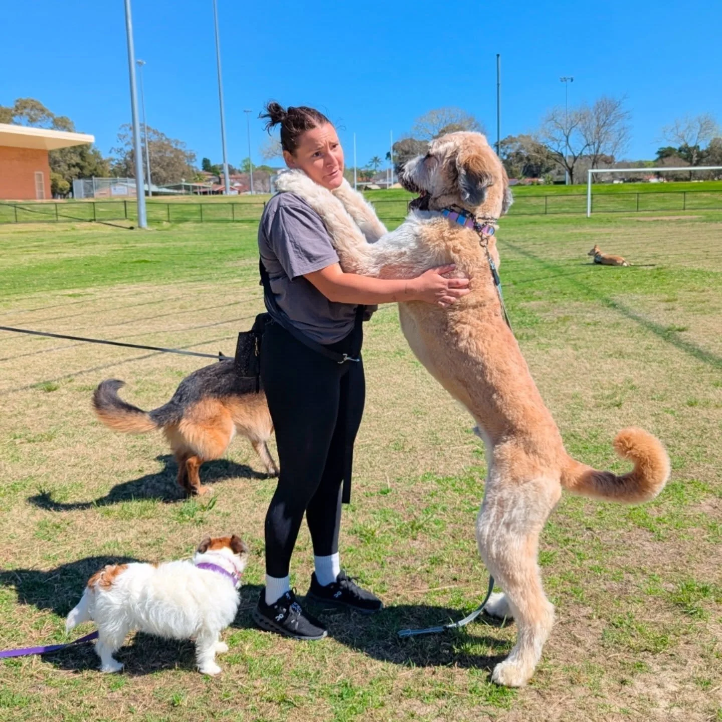 A BIG HAPPY BIRTHDAY TO OUR ONE AND ONLY @livtrainsk9 

Liv is the heart and soul of SSP! She is the best trainer in the biz and just as funny. 

If you know Olivia you know she is committed, passionate, hard working and just an all round amazing per