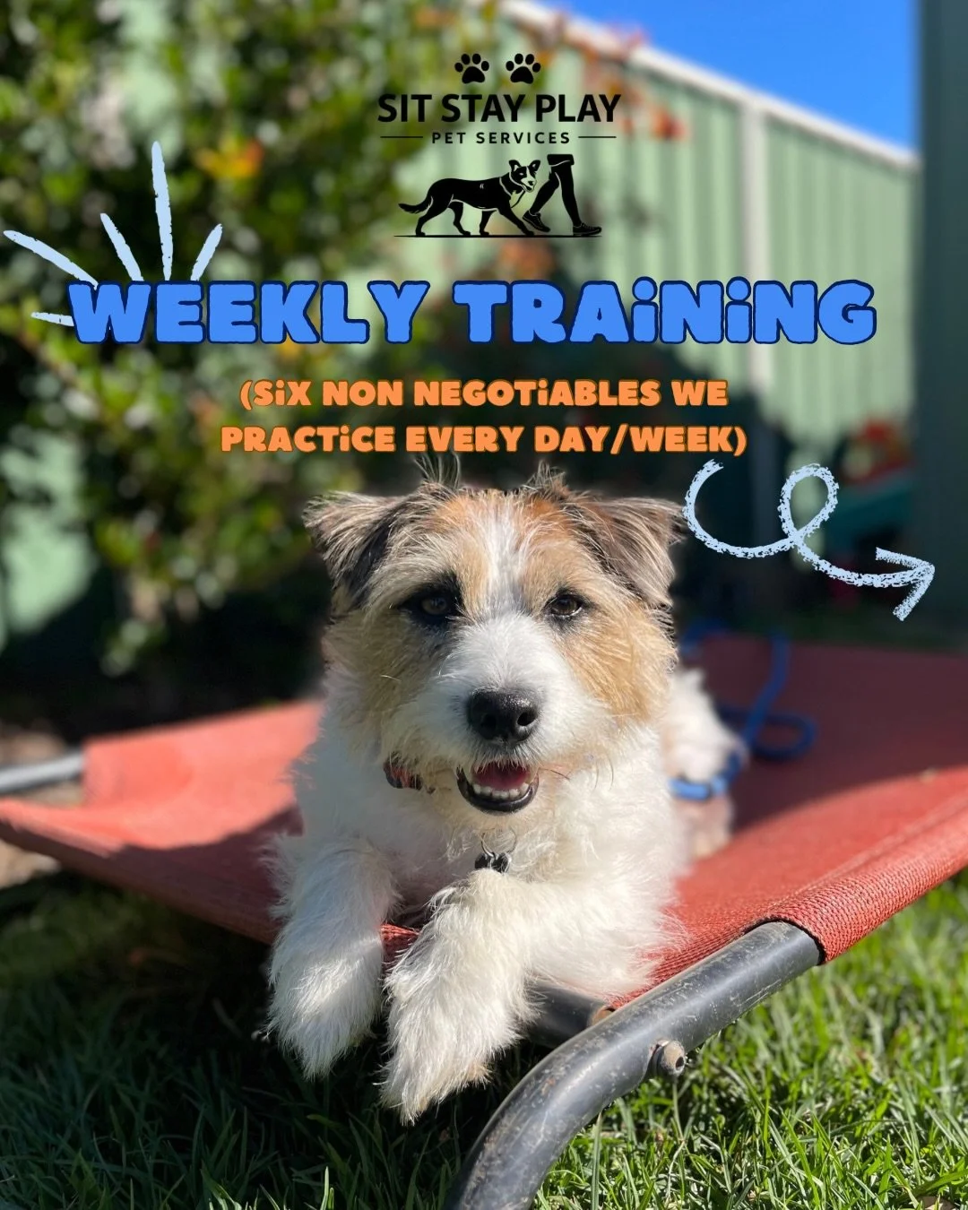 Are you stuck on what to do with your dog?

We get it. It can be tricky figuring out where to start with your training&hellip; what to prioritise, what actually matters, and what&rsquo;s just extra noise.

So here are 6 training non-negotiables we co
