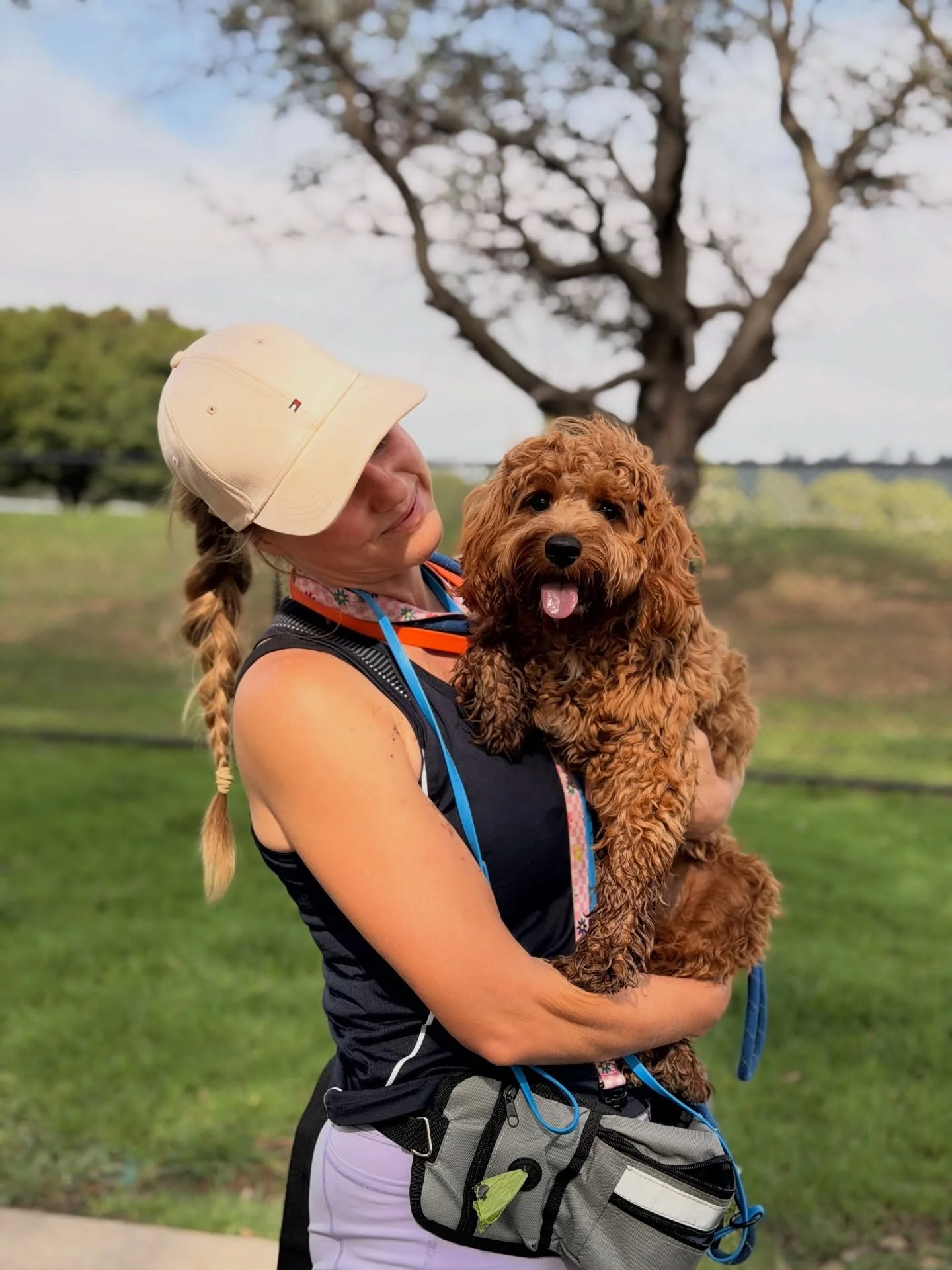 Sometimes you just need a cuddle with your favourite trainer 🫶🏻✨

Milo getting all the love at day care!

#cavoodlepuppy #cavoodles #dogtrainers #doggydayout