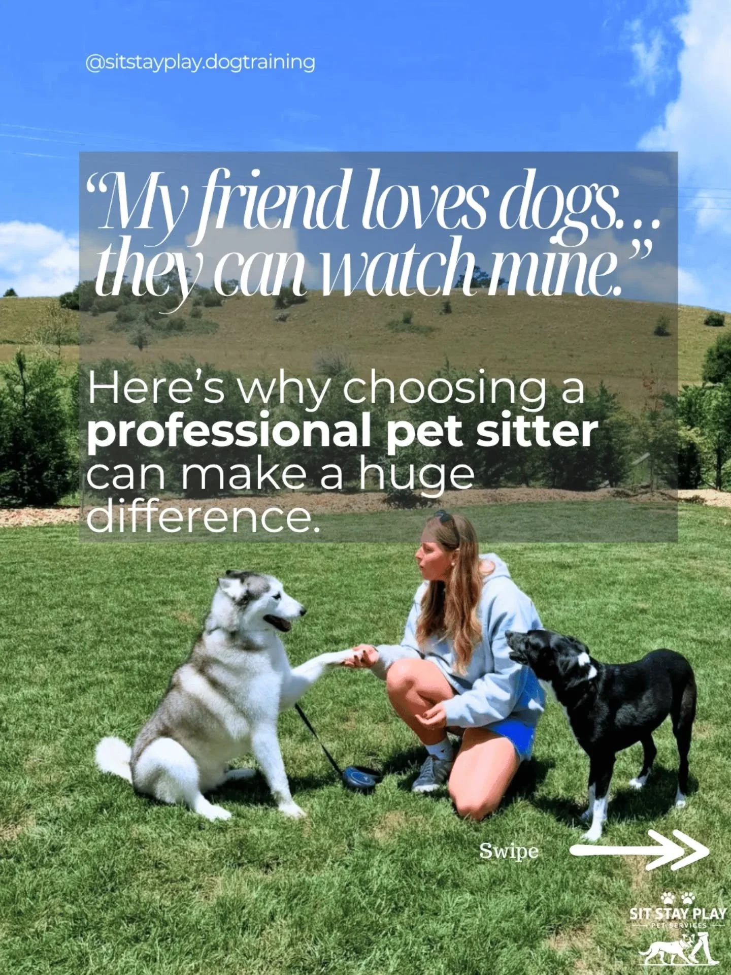 "My friend loves dogs&hellip; they can watch mine."

It sounds harmless &mdash; but dogs often behave very differently when their owners leave.

Professional pet sitters understand:

&bull; body language
&bull; stress signals
&bull; group d