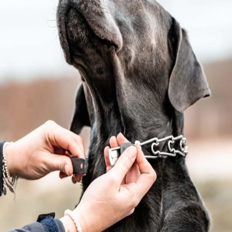 Cliclock centre plate.webp