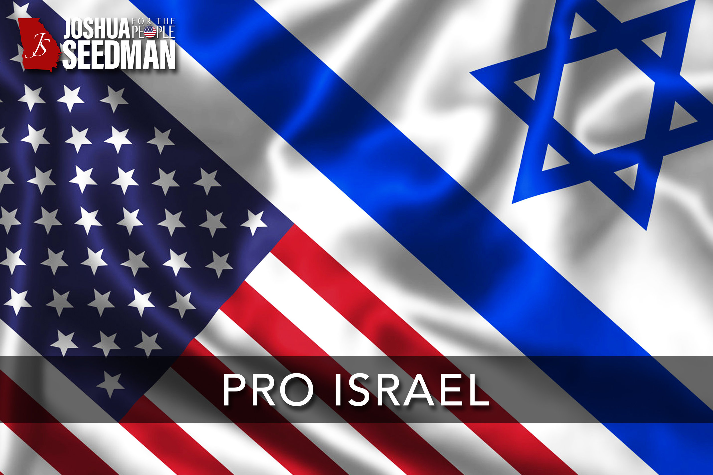 Pro Israel