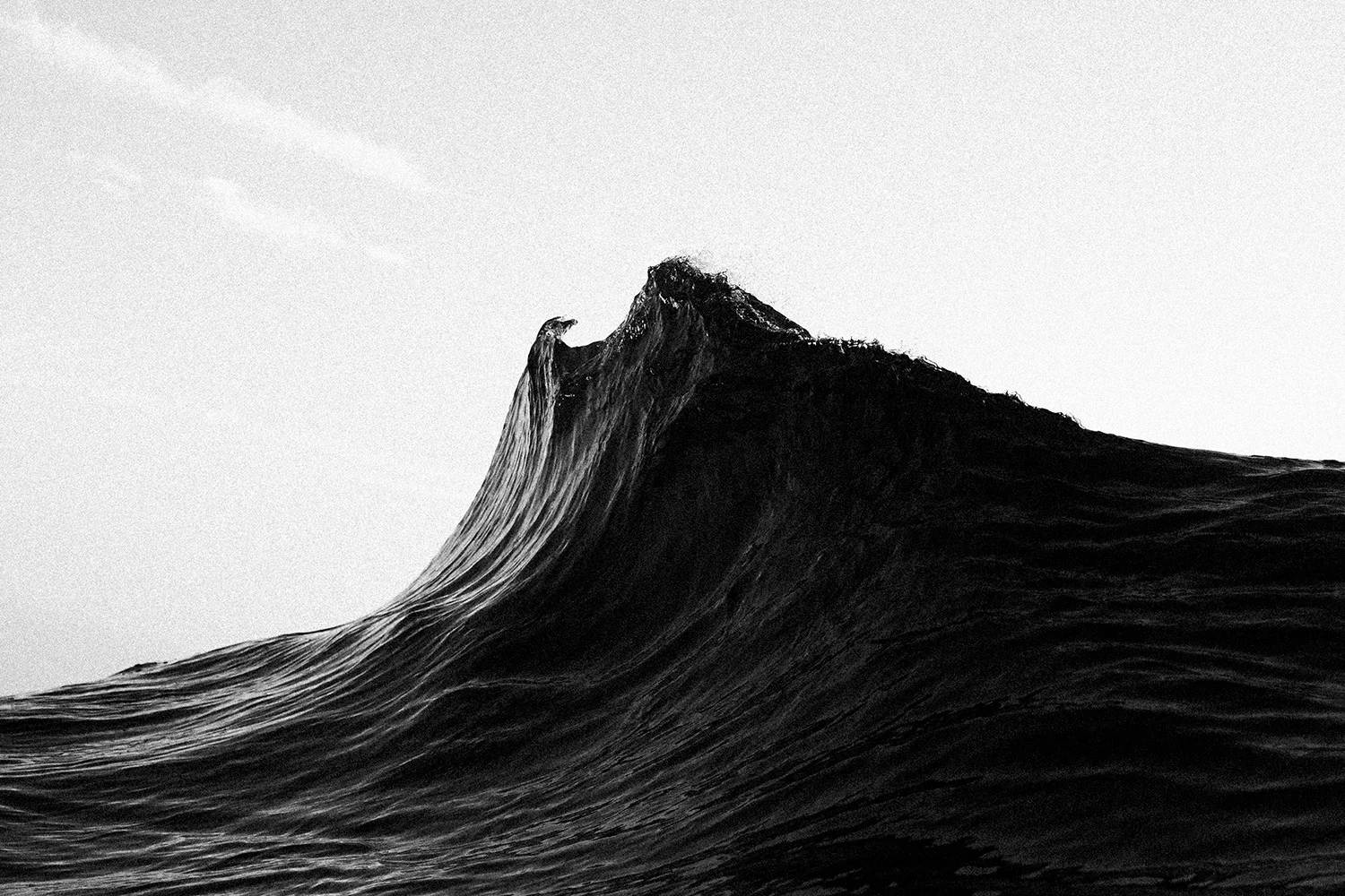 bw-image.jpg