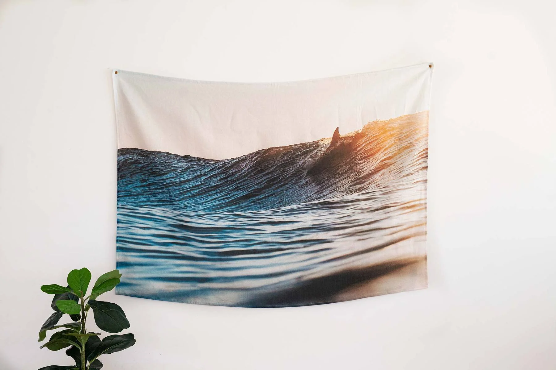 Sunday_Surf-Detail-1_1800x1199.jpg