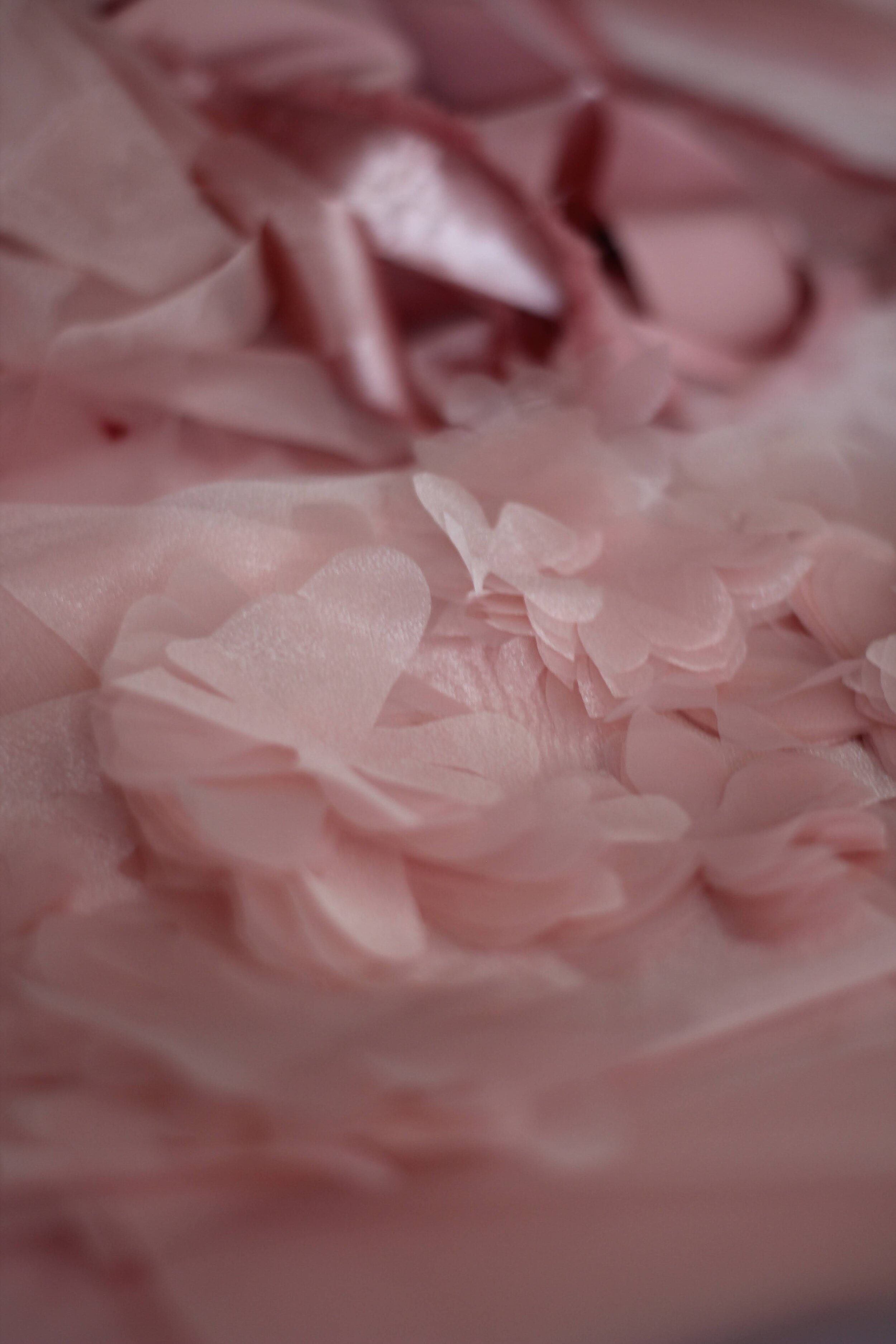 94D7B6C7-B305-4553-803E-0F396D295397.jpeg