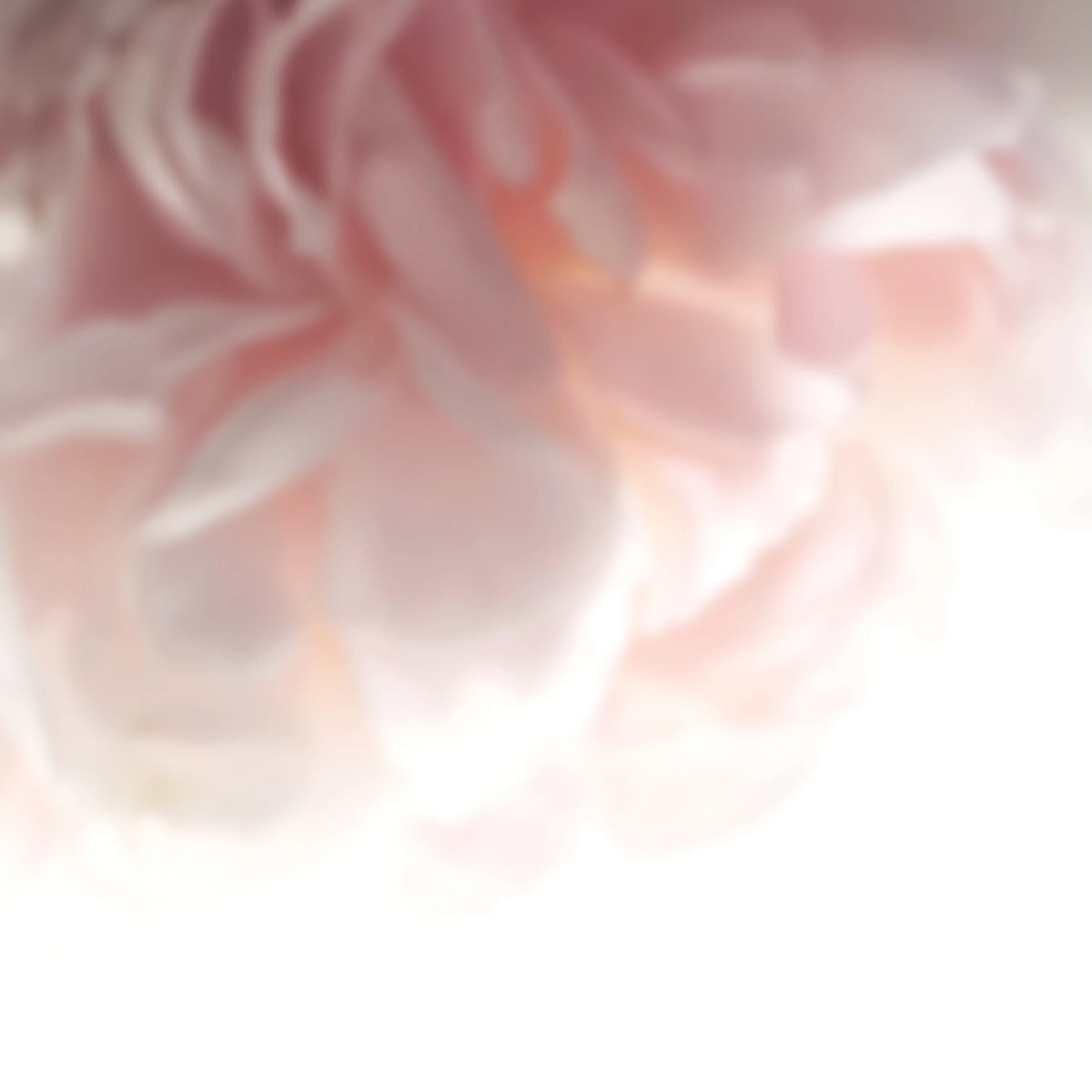 FA1C3D83-F744-47A8-87A2-BB49C301F56C.jpg