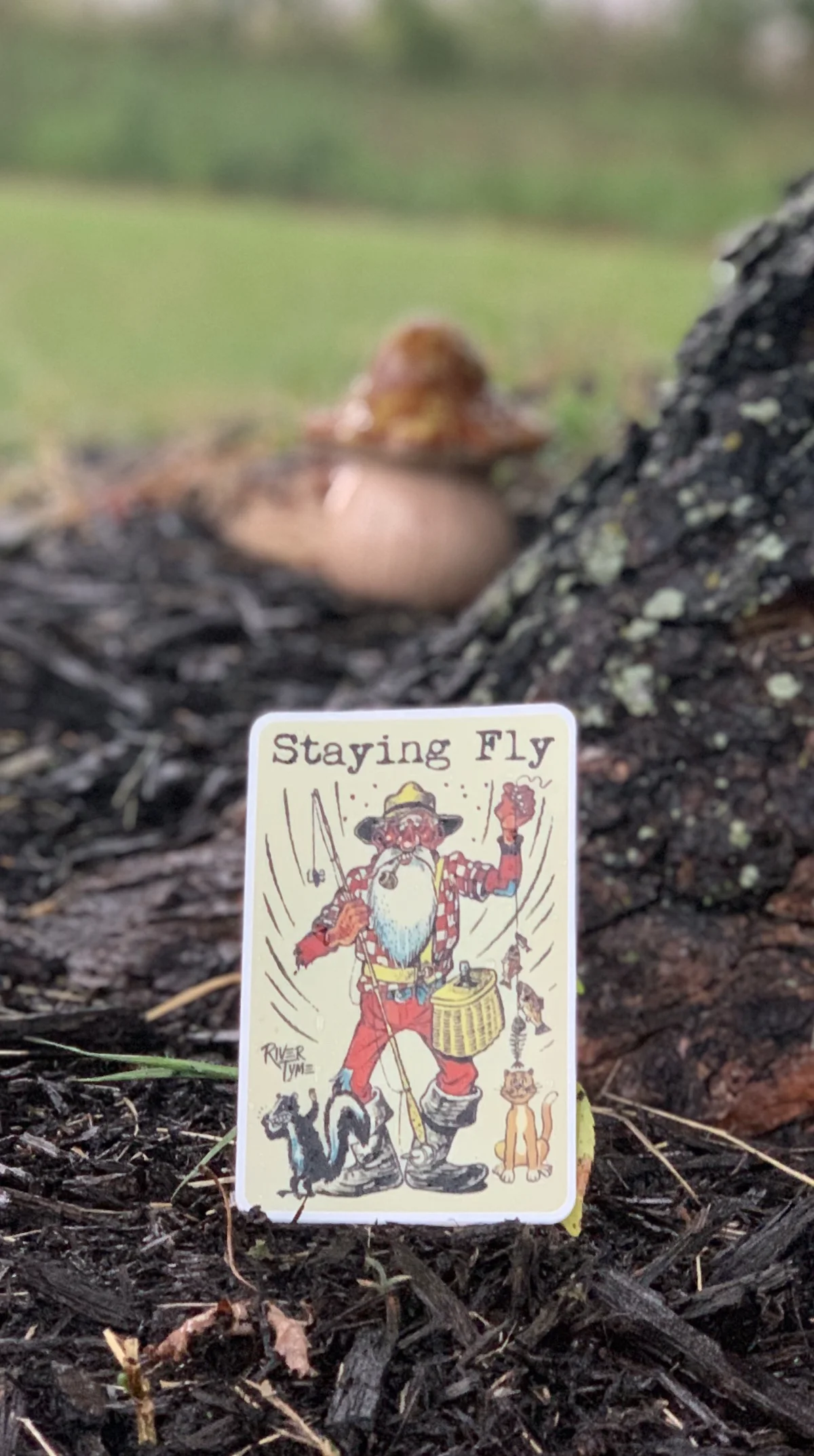 EB9E735F-22D7-44DA-9F72-684DEA7A0614