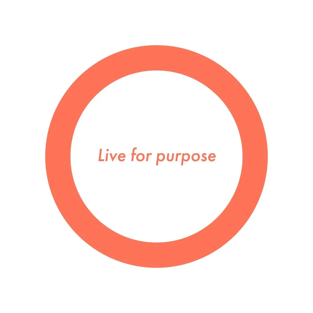 hr-consulting-live-for-purpose