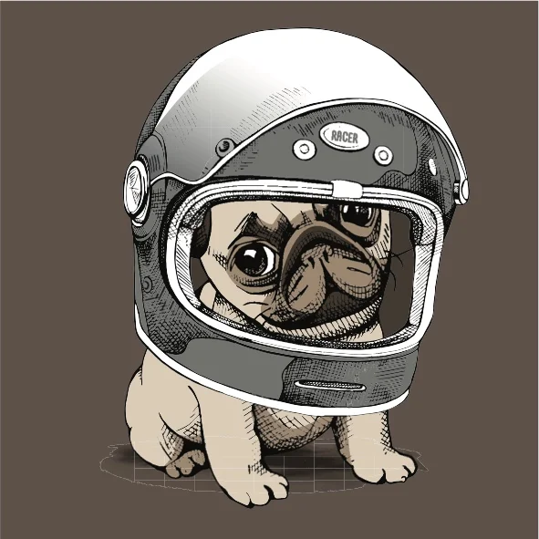 shutterstock_414218038 copy 2.jpg