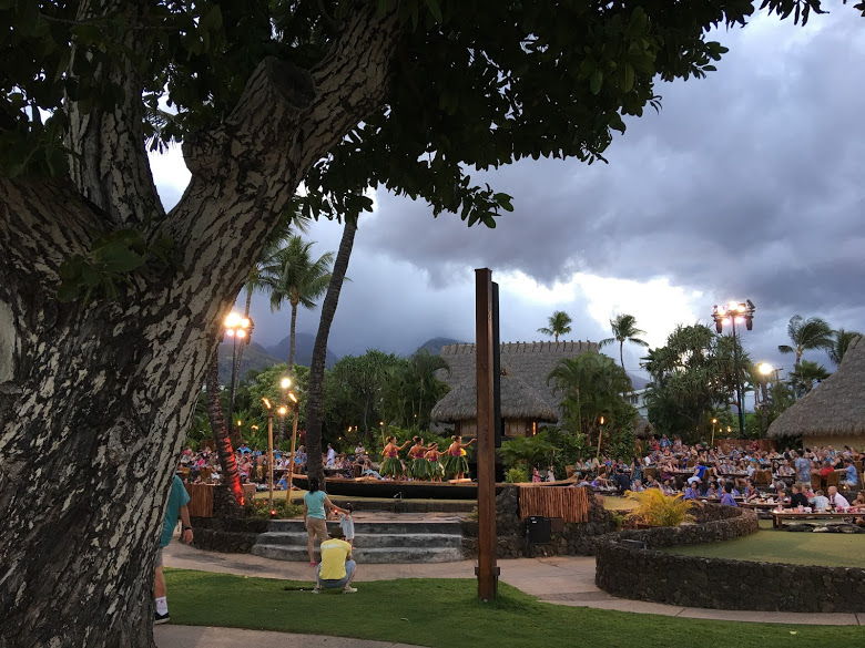 Monday, July 31: Dolphins, Turtles, and Hula