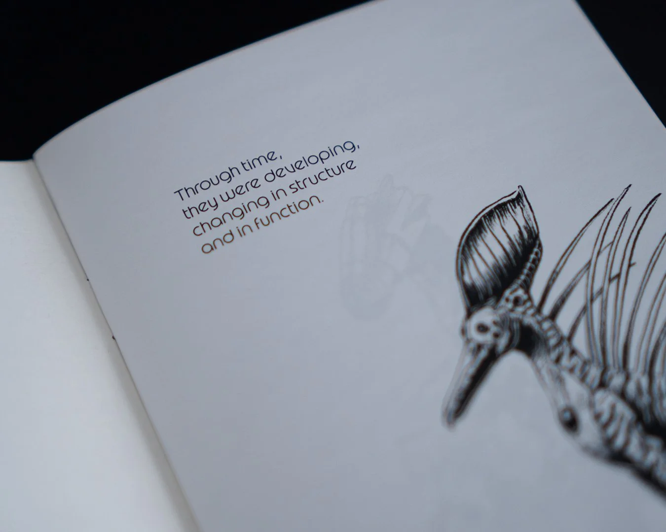 Artbook_Organisms copie05.jpg
