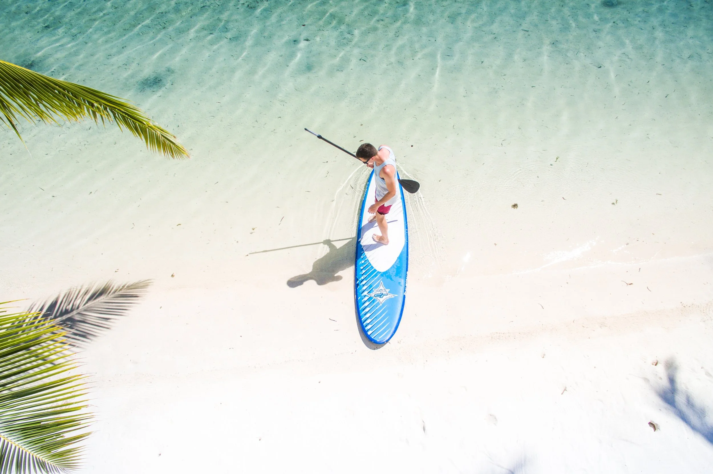 paddle boarding maui