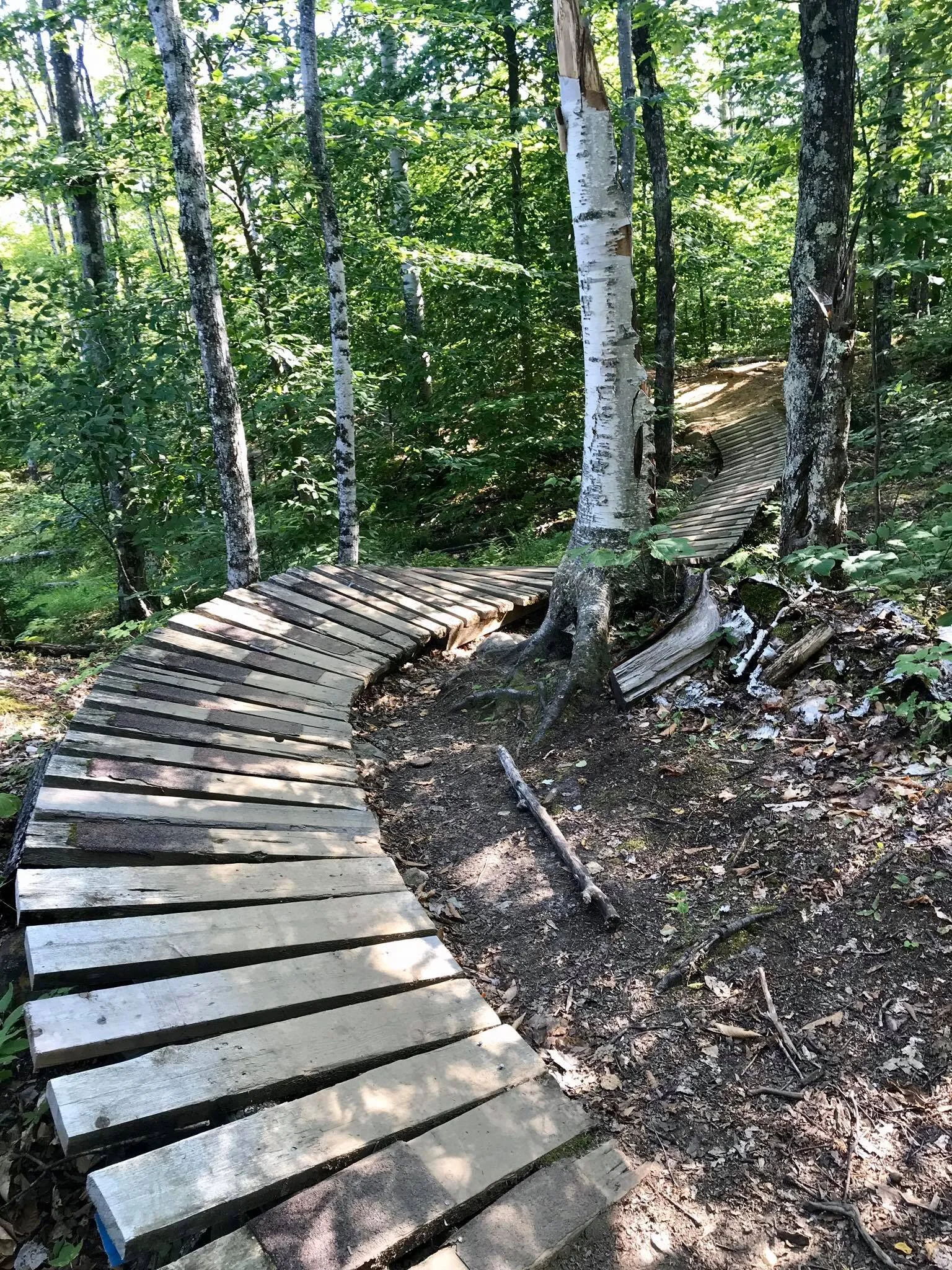 mountain bike track