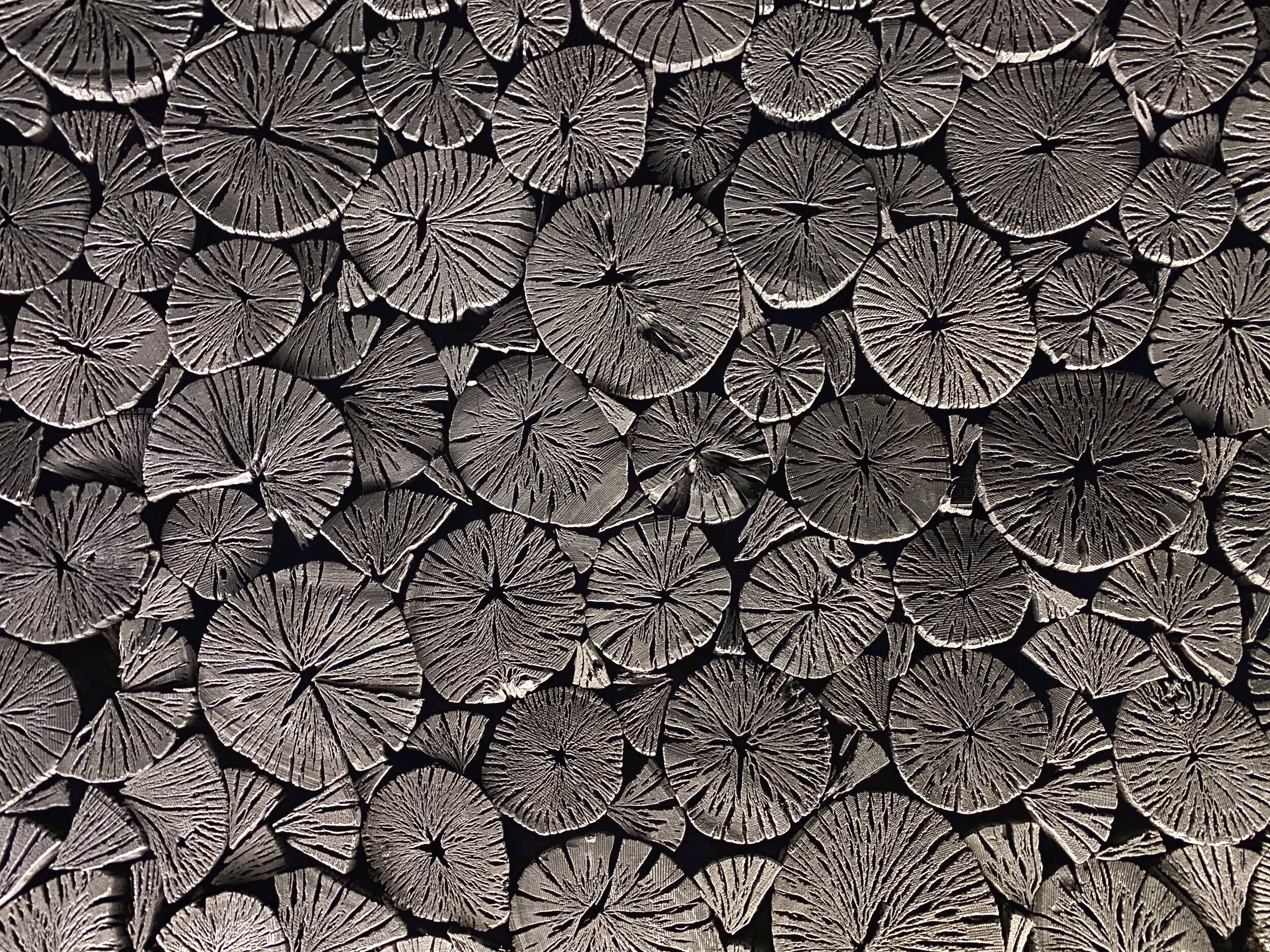 Bright/Clear Spring, Bright/Clear Winter